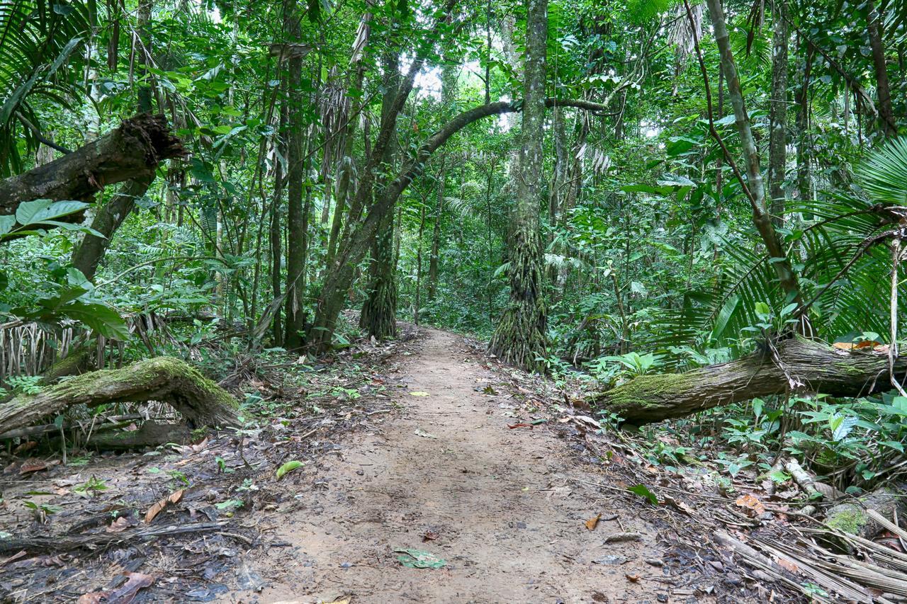Ecoamazonia Lodge Πουέρτο Μαλντονάντο Εξωτερικό φωτογραφία