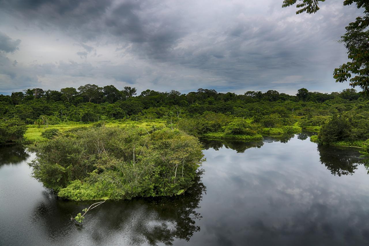 Ecoamazonia Lodge Πουέρτο Μαλντονάντο Εξωτερικό φωτογραφία