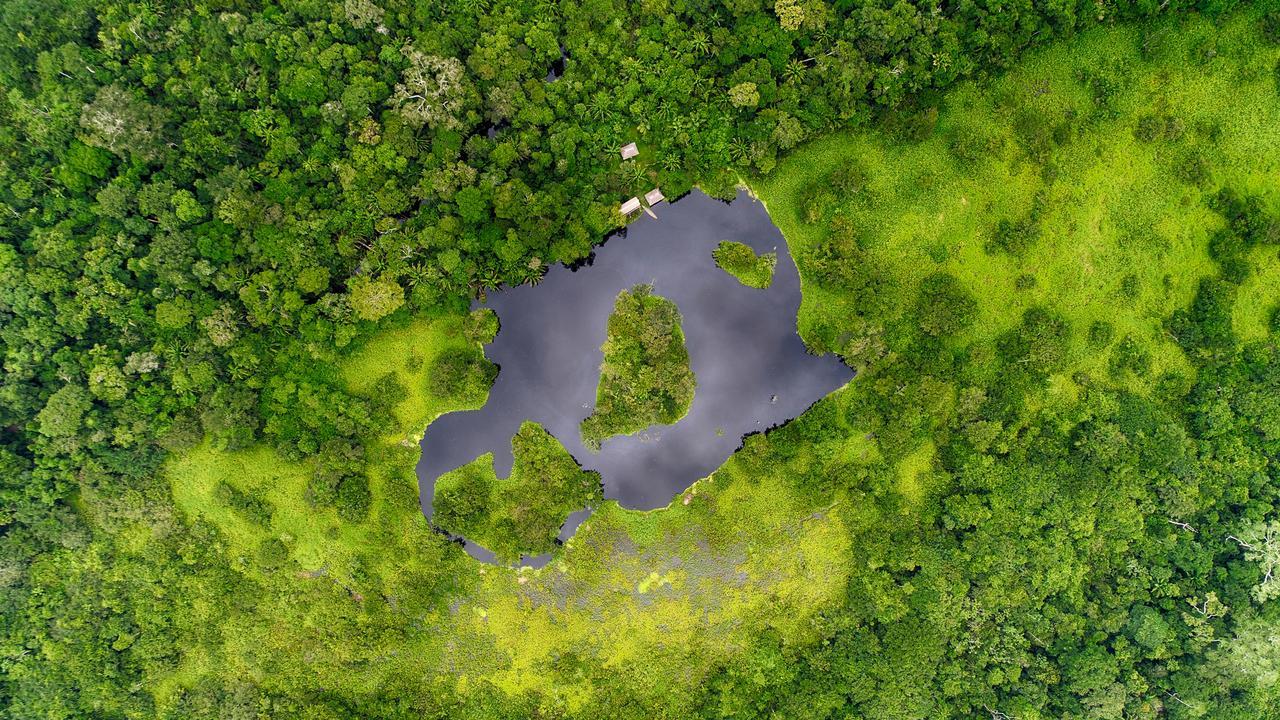 Ecoamazonia Lodge Πουέρτο Μαλντονάντο Εξωτερικό φωτογραφία