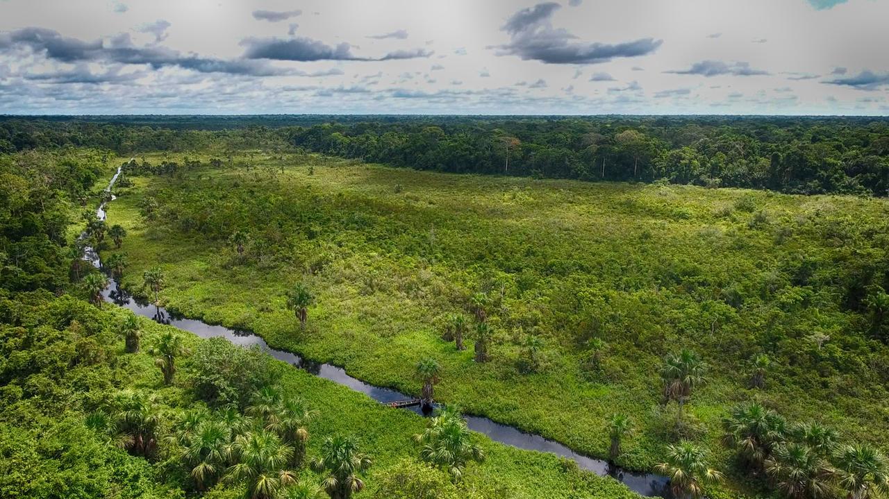 Ecoamazonia Lodge Πουέρτο Μαλντονάντο Εξωτερικό φωτογραφία